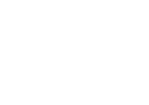 TFD_Logo-weiß